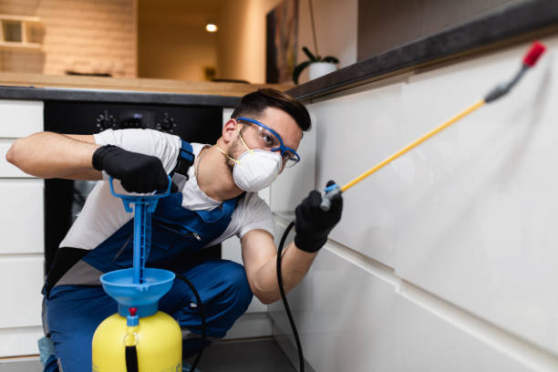 Best Pest Removal Services  in Wofford Heights, CA