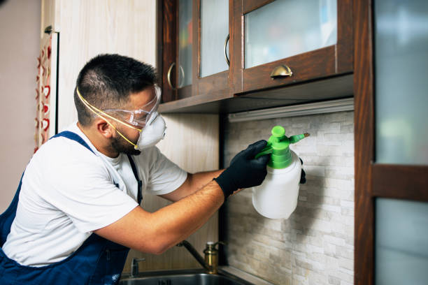 Best Pest Inspection Near Me  in Wofford Heights, CA