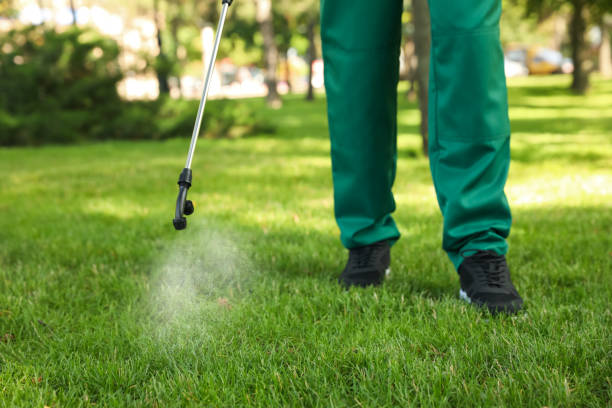 Best Rat Extermination Near Me  in Wofford Heights, CA