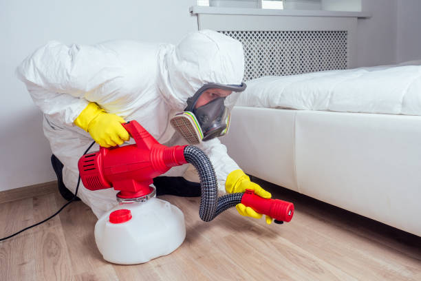 Best Bed Bug Extermination  in Wofford Heights, CA