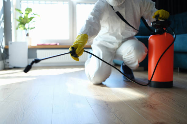 Best Best Pest Control Companies  in Wofford Heights, CA