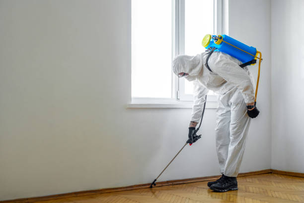 Best Insect Control  in Wofford Heights, CA