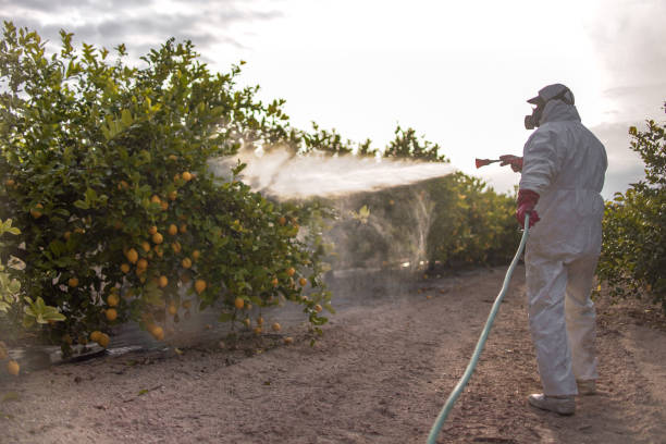 Best Cockroach Control Services  in Wofford Heights, CA