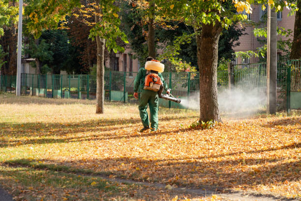 Best Affordable Pest Control Services  in Wofford Heights, CA
