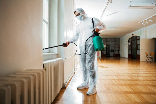 Best Affordable Pest Control Services  in Wofford Heights, CA