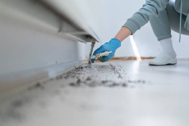 Best Exterminator Services  in Wofford Heights, CA