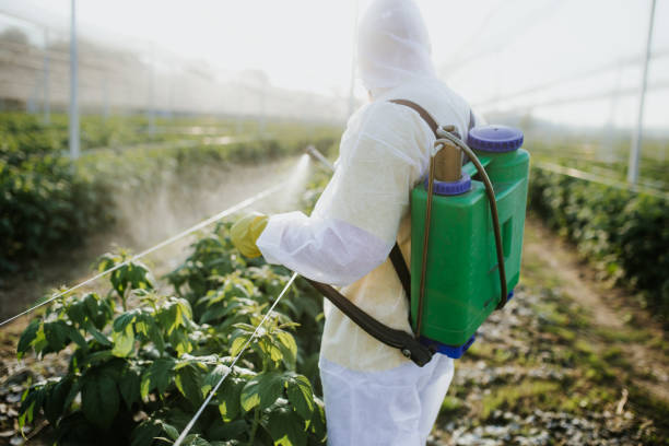 Best Residential Pest Control  in Wofford Heights, CA